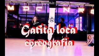 Download lagu 'Gatita Loca' - Ronald El KILLA- COREOGRAFIA  @lenaperelygina & @yopi_quintero mp3