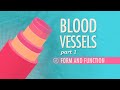 Blood Vessels, Part 1 - Form and Function: Crash Course Anatomy & Physiology #27