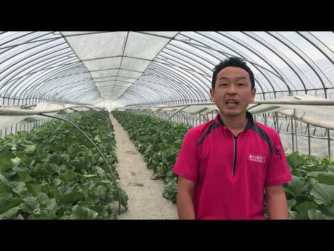 寺坂農園 野菜産直農家  | 北海道 富良野から通販で全国へお届け