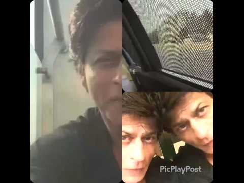 Video tweet by SRK (@iamsrk) All video version