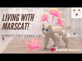 Hot Selling Now MarsCat A Bionic Cat A Home Robot