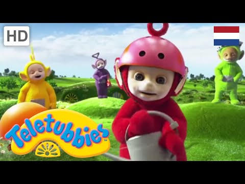 Teletubbies Nederlands | 1 Uur Lange Compilatie | kinder programmas | tekenfilms | animatie