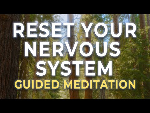 Deep Nervous System Reset Hypnosis | Heal the Gut, Quiet the Mind, Nourish the Soul