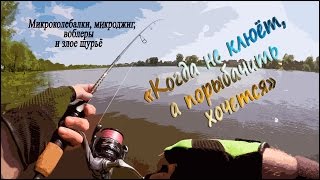 Окунь не клюет что делать