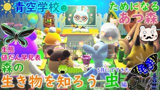 ためになる【あつ森】新しくでてきた『生き物』を知ろう☻“虫”編☻生態＆値だん早見表☀青空学校☀ “島暮らし”を最高に楽しもう♪ まろまゆの【あつまれどうぶつの森 実況】