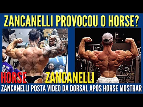 ZANCANELLI BUGA TUDO E MOSTRA COSTAS INSANAS