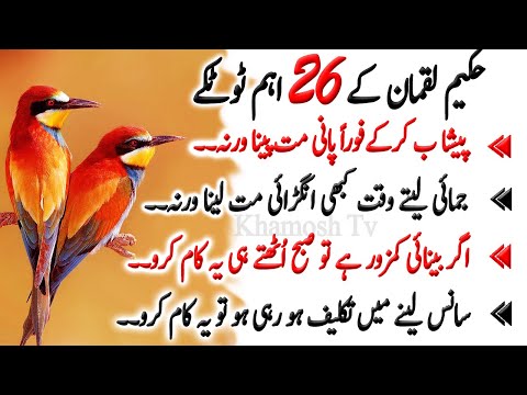 hakeem luqman ke totke | luqman hakeem quotes | khamosh Tv