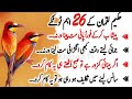 Hakeem Luqman Ke Totke Luqman Hakeem Quotes Khamosh Tv