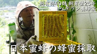 【ベテラン養蜂家】日本蜜蜂の蜂蜜採取