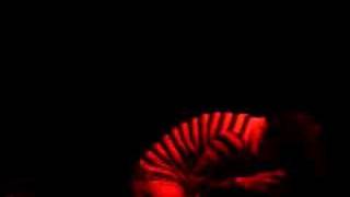 Greeley Estates - Nothing Good Happens After Dark