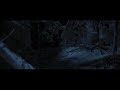 Tiger Vs Wolves