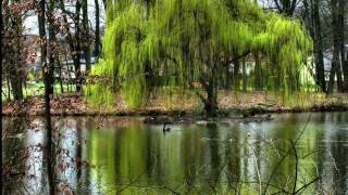 Glen Campbell - It&#39;s Only Make Believe