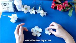 การสอนทำดอกชวนชม Making Desert Rose with KAEWCLAY