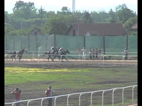 Gradačački Trial Stakes Gradacac-1 1.600m
