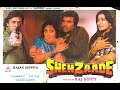 Shehzaade 1989 Dharmendra Shatrughan Sinha Vinod Mehra Dimple Kapadia