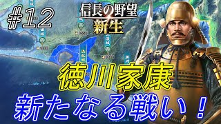 【信長の野望新生】えっ！何故！？勢力が小さくなっちゃった！ｗやはり本能寺の変後の豊臣秀吉と戦いたいｗ#12【上級】