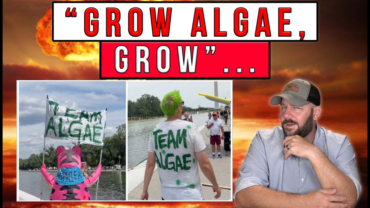 HAPPENING NOW | Leftists Arrested Amid "Pro Algae" Protests...