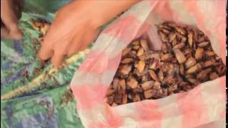 Thumbnail del capítulo