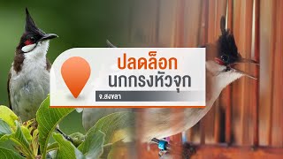 [Live] จับตารอบทิศนอกรอบ | 9 ต.ค. 66