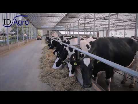 #4   Lage nokhoogte - 9 redenen om te kiezen voor een serrestal