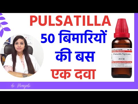 Pulsatilla homeopathic medicine uses in hindi | Pulsatilla nigricans 30, 200, 1M uses