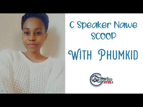 Norma Gigaba was arrested by hawks for smashing Melusi Gigaba's car