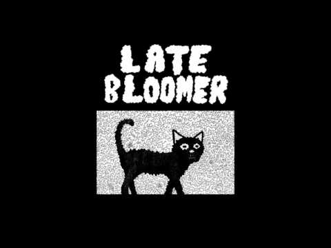 Late Bloomer - Reality