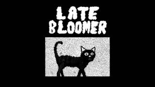 Late Bloomer - Reality