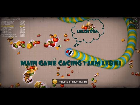 Main game cacing | mati ulang lagi sampai bosan