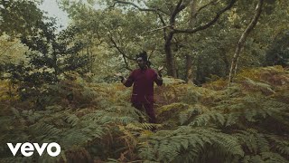 PEACE IS FINE Music Video