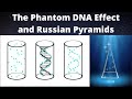 The Phantom DNA Effect And Russian Pyramids
