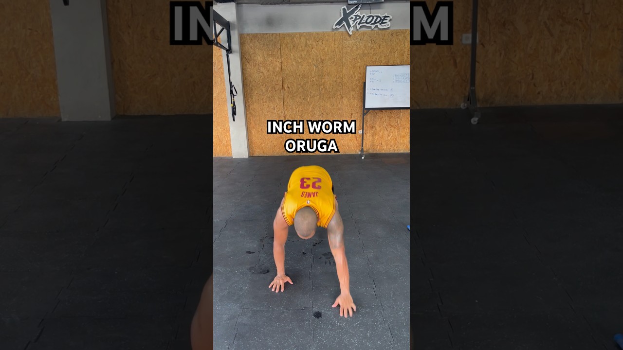 Bodyweigth: Inch Worm / Oruga