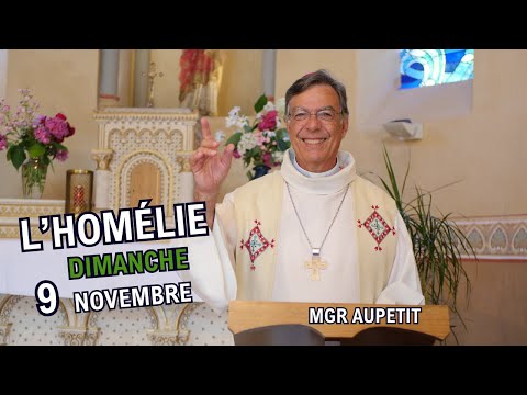 Homily of Archbishop Aupetit, November 9, 2025
