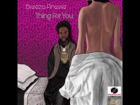 Breezo Finesse - Thing For You (Official Audio)