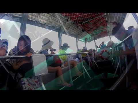 Green Island Day Tour