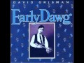 David Grisman - Early Dawg