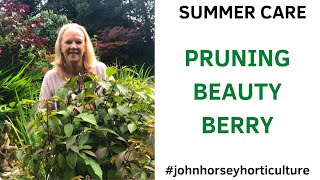 HOW TO PRUNE YOUR BEAUTYBERRY BUSH THE EASY WAY!