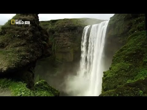 Nat Geo Wild HD Islands  Iceland HD NatureHistory Documentary | Animal Planet Channel