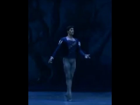 ROBERTO BOLLE ~ Entrechat Six