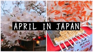 My Life in Japan | April Extras 🌸