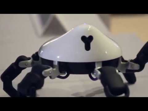 HEXA Programmable, Highly Maneuverable Robot