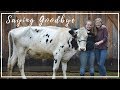 Selling Our Milk Cow Restful Falls
