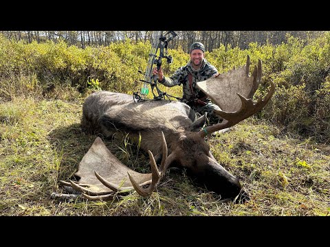 70" GIANT WITH A BOW / Archery Moose Hunt - Stuck N The Rut 215