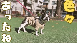 2024年振り返ってみた🐶