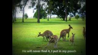 preview picture of video 'syt golf - with Kangaroos watching'