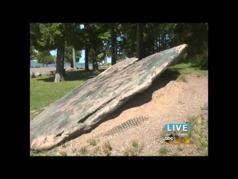 Time dwindles for world’s largest piece of float copper