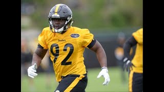He might not be the next James Harrison, but Steelers' Olasunkanmi Adeniyi looks the part