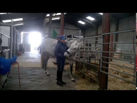 Bluechip All stars academy auditions 2017