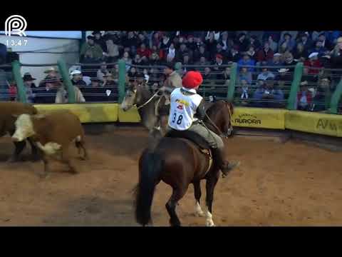 Final Freio de Ouro (RS) – 2° lugar fêmeas – Cambraia Cala Bassa (Prova: Mangueira II)