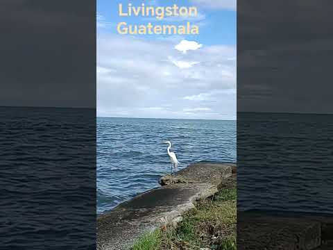 Livingston Izabal Guatemala